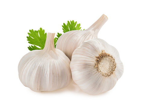 Garlic